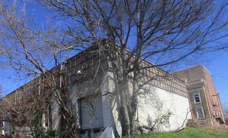 Side of the vacant downtown commercial building, grown over with trees, before demolition