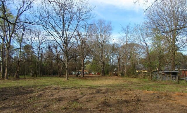 Wide residential lot after land clearing, with mature trees left standing
