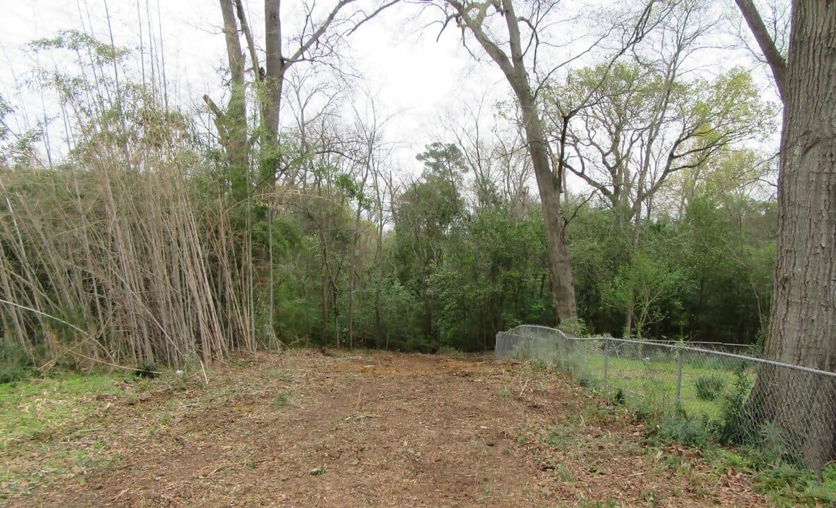 Residential lot cleared of bamboo and brush down to bare ground