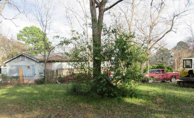 Overgrown residential lot with brush and small trees before clearing