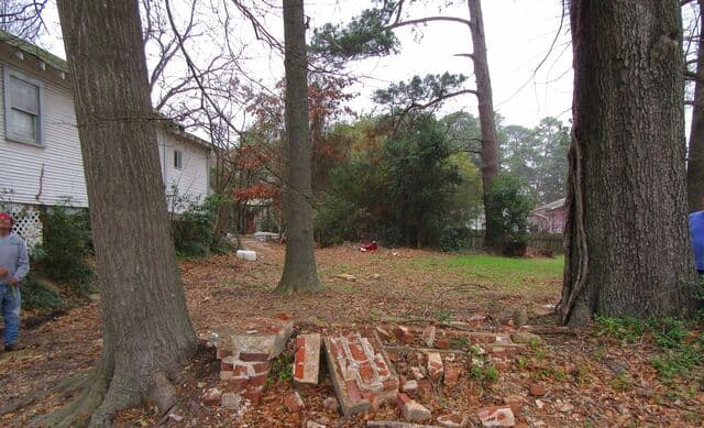 Old brick foundation pieces left between large trees on a residential lot