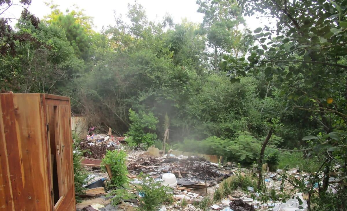 Wooded lot covered in dumped trash and debris before cleanup