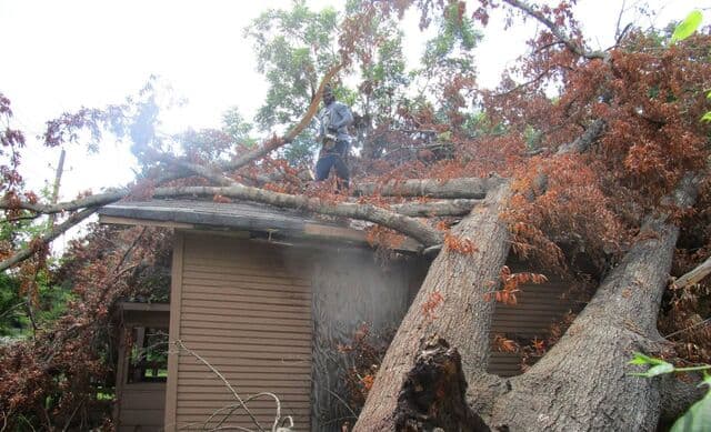 Large tree fallen across the roof of a house after a storm, with a worker on the roof
