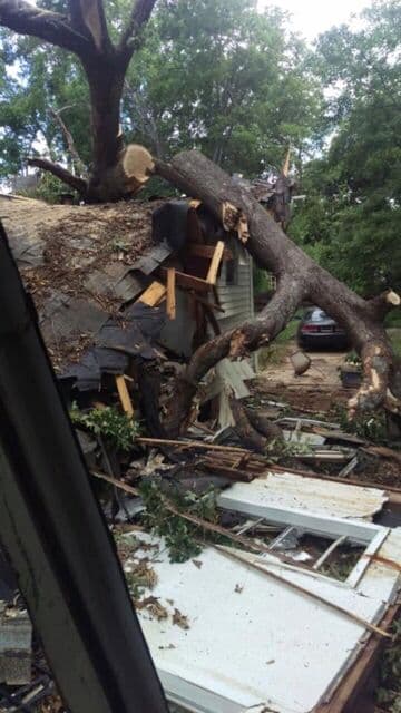 Fallen tree and storm debris beside a damaged house